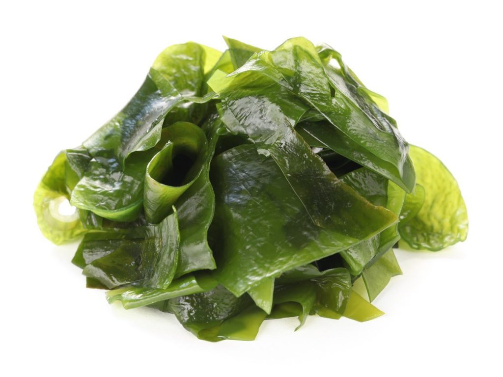 Le Wakamaé bio un algue pour le traitement naturel du cancer