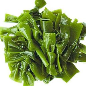 Le Wakamaé bio un algue pour le traitement naturel du cancer